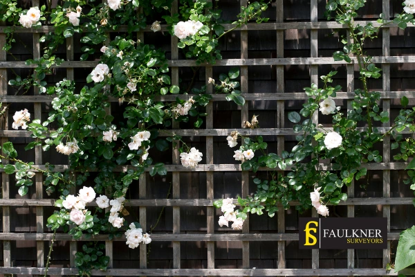 Can I put trellis on my Neighbours garage wall? 2 Do you want to adapt your neighbours garage door and add a trellis Woking? Talk to Faulkner Surveyor Woking